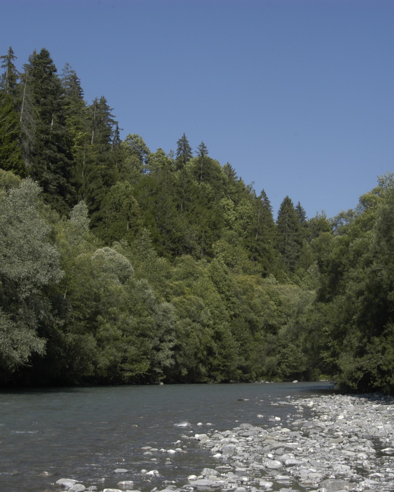 6.ROSSINIERE-ROUGEMONT_ramaclé-1600x2000