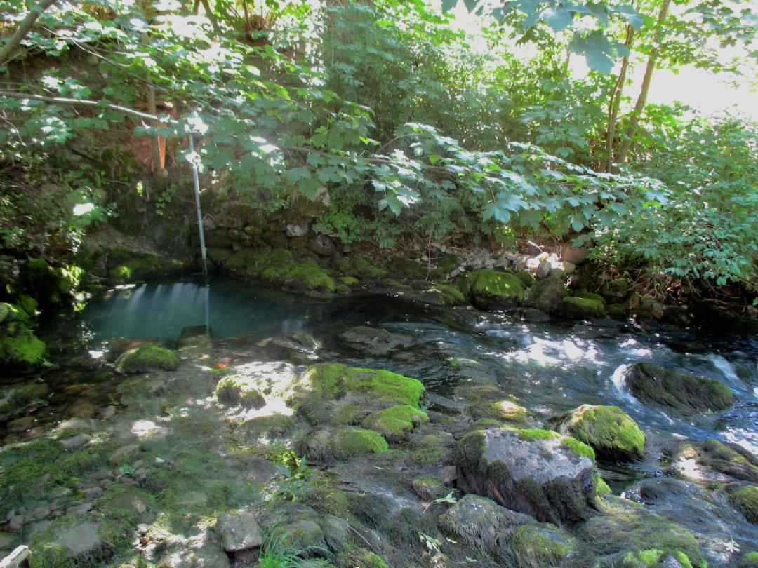 Source de la Chaudanne