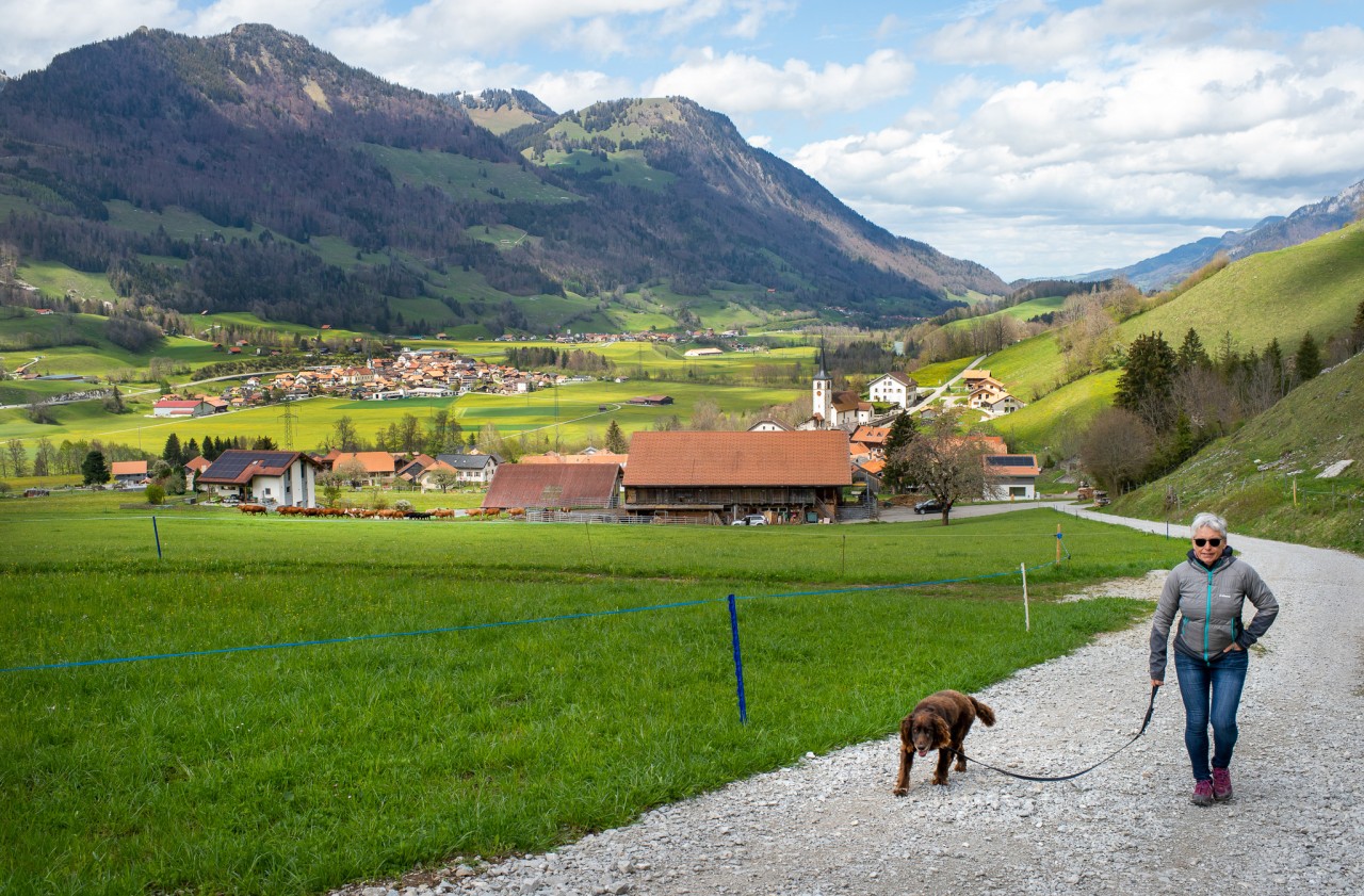 Randonnée avec chien Lessoc