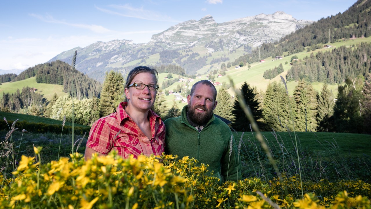 Alpes en Fleurs-5000x2811