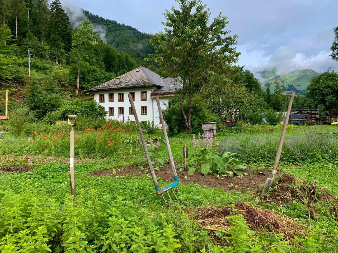 grelinette jardin herbolanne