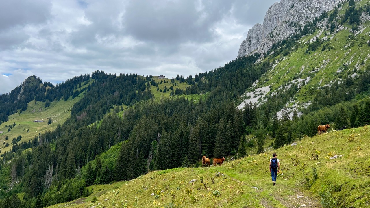 Randonneur Petit Mont-3960x2228