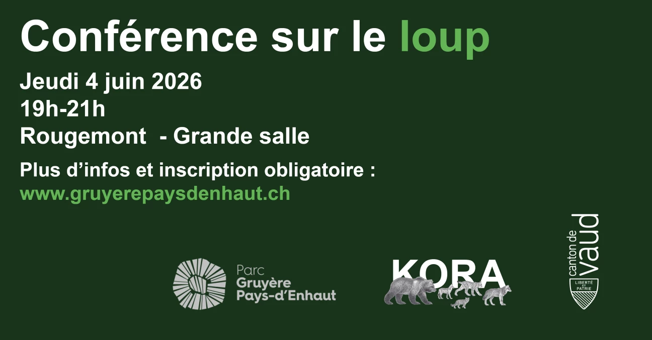 Layout_event_20260604_banner_def