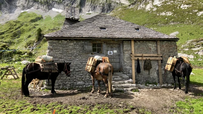 Barlaté des Morteys - mulets-1784x1004