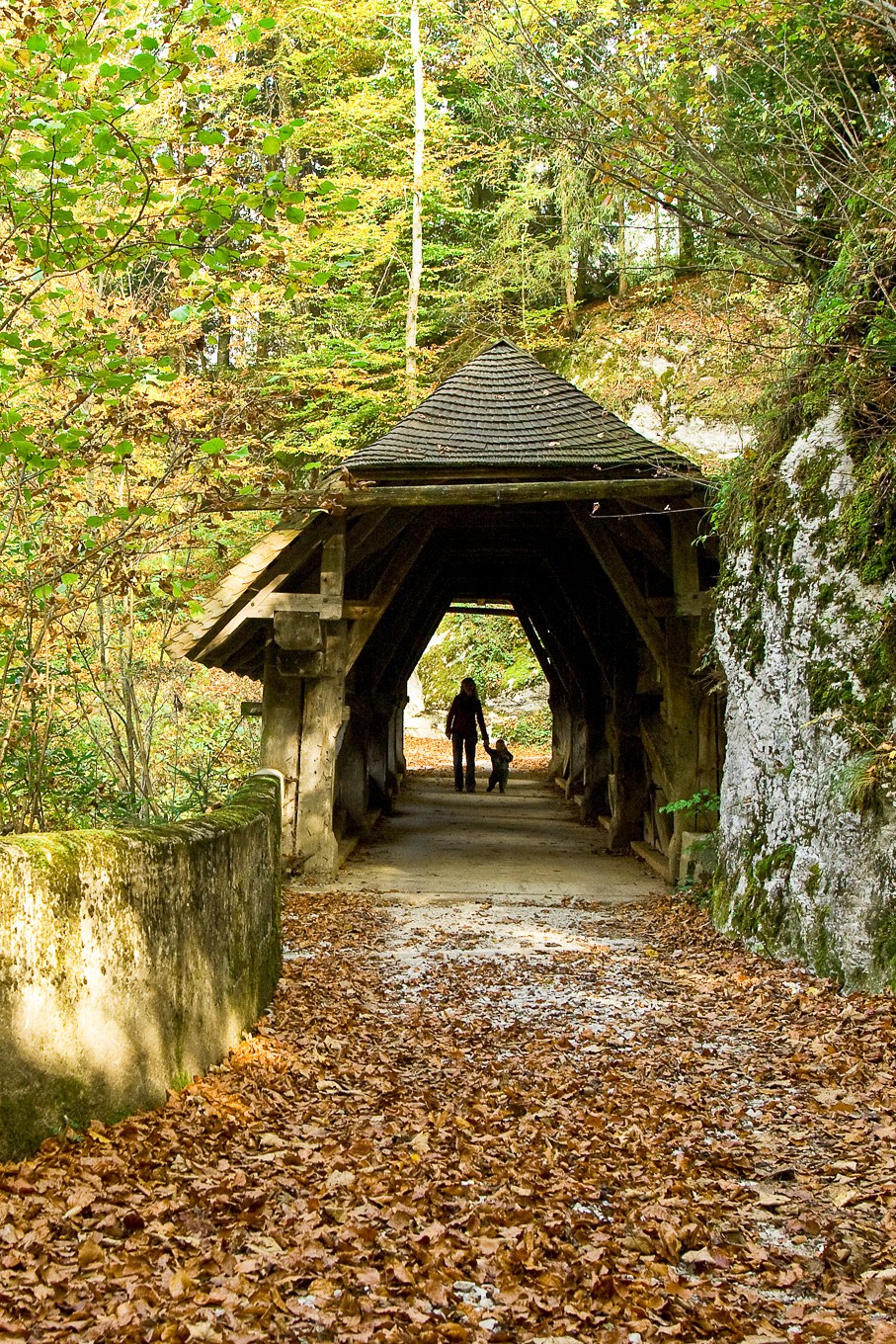 Pont couvert Lessoc enfant-907x1360