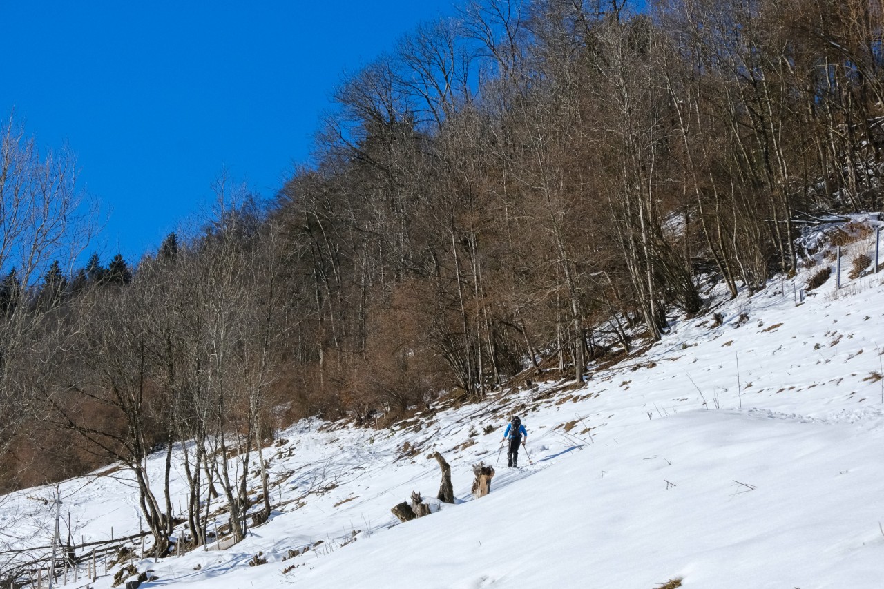 Ski de randonnée