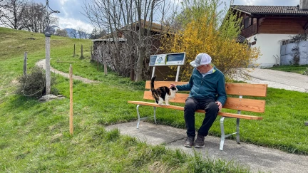 Banc stop chat Les Sciernes