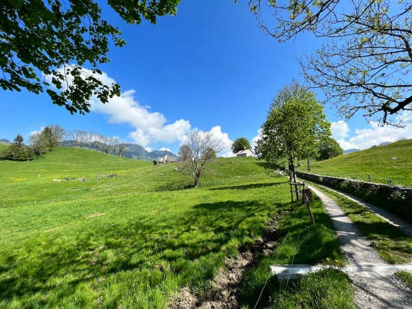 Paysage