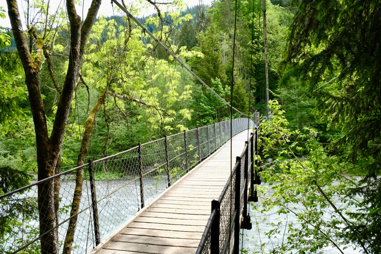 Les Combes-Château-d'Oex Pont Turrian