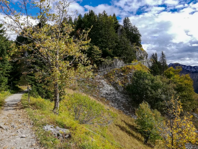Sentier remue Sonchaux2