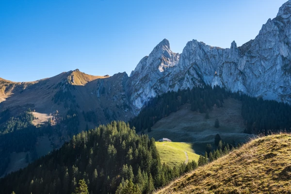 Château-d'Œx – L'Etivaz La Pierreuse - automne