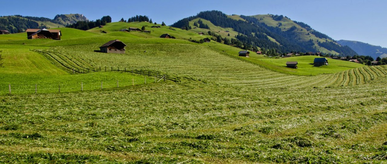 Foins à Flendruz